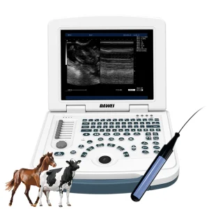 Portable Veterinary Ultrasound Scanner